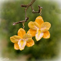 Slnečná orchidea - náušnice