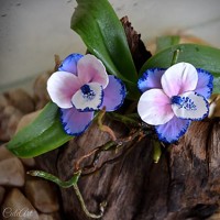 Orchideové - visiace náušnice s francúzskym zapínaním