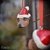 Závesná vianočná ozdoba - podľa fotografie zvierat