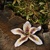 Orchidea 'White Wedding'' (sada 3 ks) - dekoračné kvety