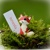 Líšky - darčeky pre svadobných hostí, menovky