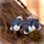 Modrá orchidea - náušnice