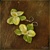 Zelená orchidea - náušnice s kvetom
