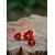 Červené maky malé - náušnice s kvetom