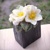 Kytica kvetov v črepníku - darčeková dekoratívna sviečka