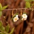 Margarétky - náušnice s kvetmi